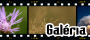 [Foto Galéria]