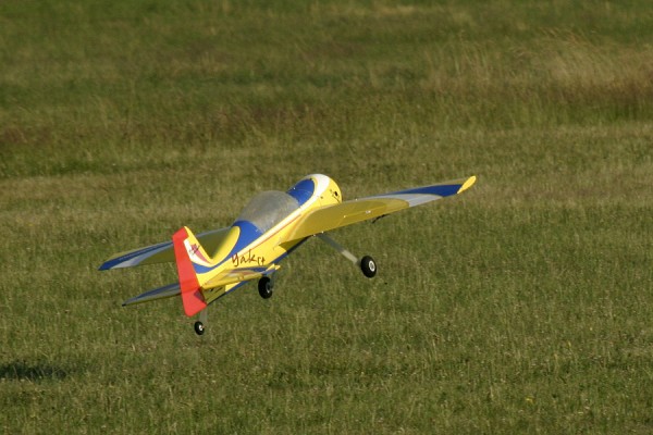 [Yak 54]